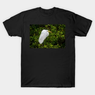 Great Egret In The Mangrove Tree T-Shirt